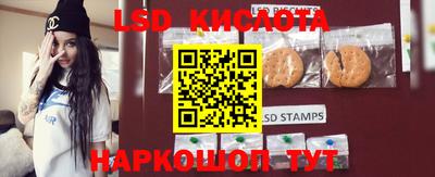 спиды Кимры