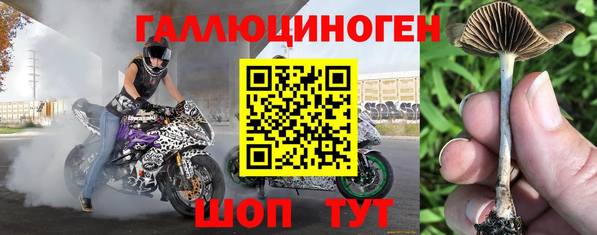 Псилоцибиновые грибы ЛСД Казань