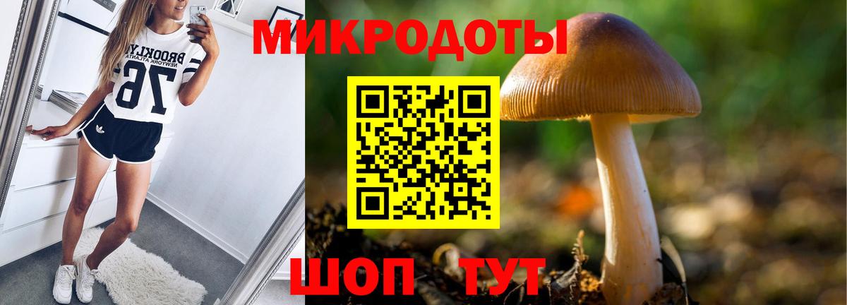 Галлюциногенные грибы Psilocybe  Галлюциногенные грибы Psilocybine cubensis  Вход с VPN  Казань 